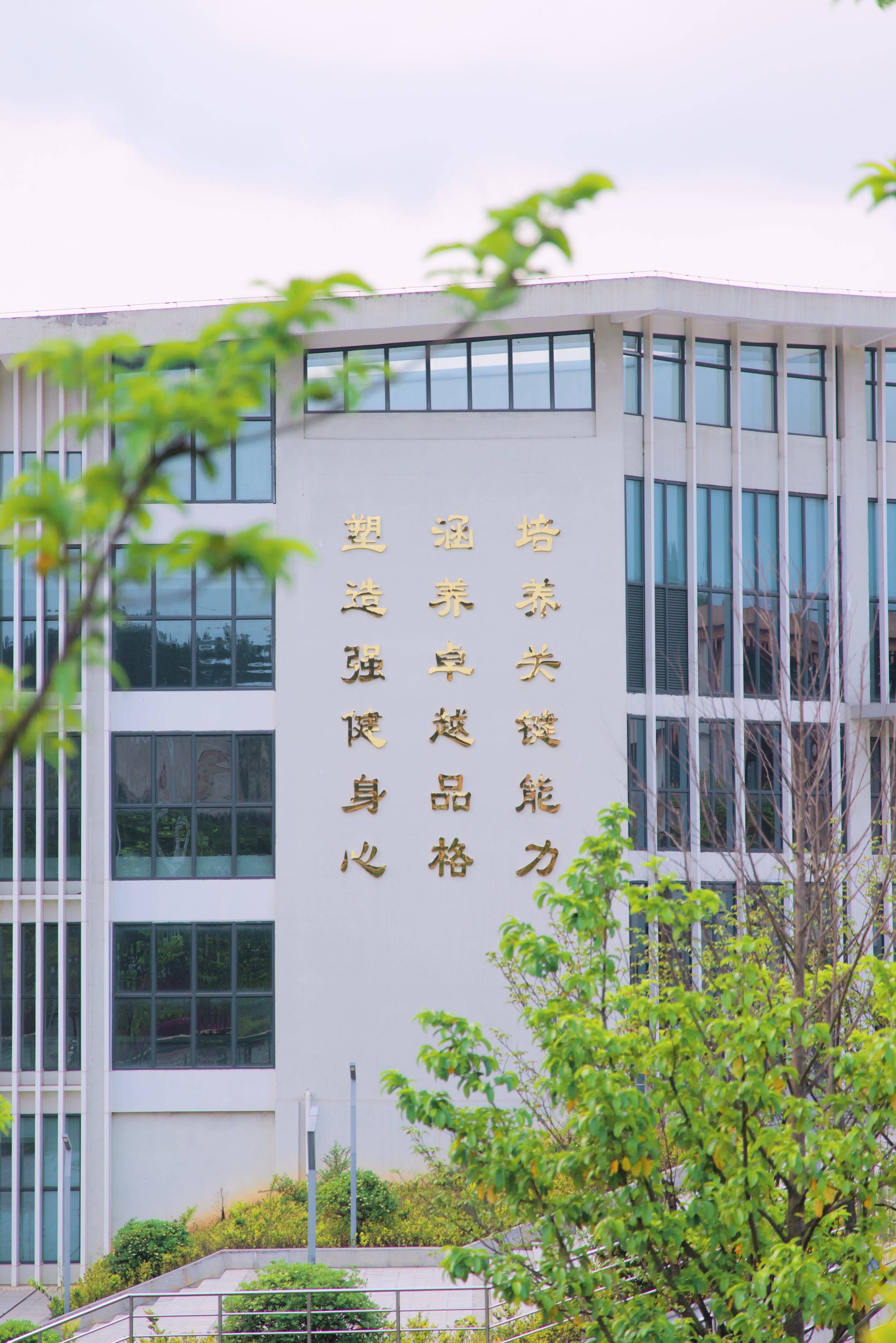 6/22 学校一角